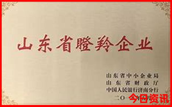 小学毕业暑假去哪里玩